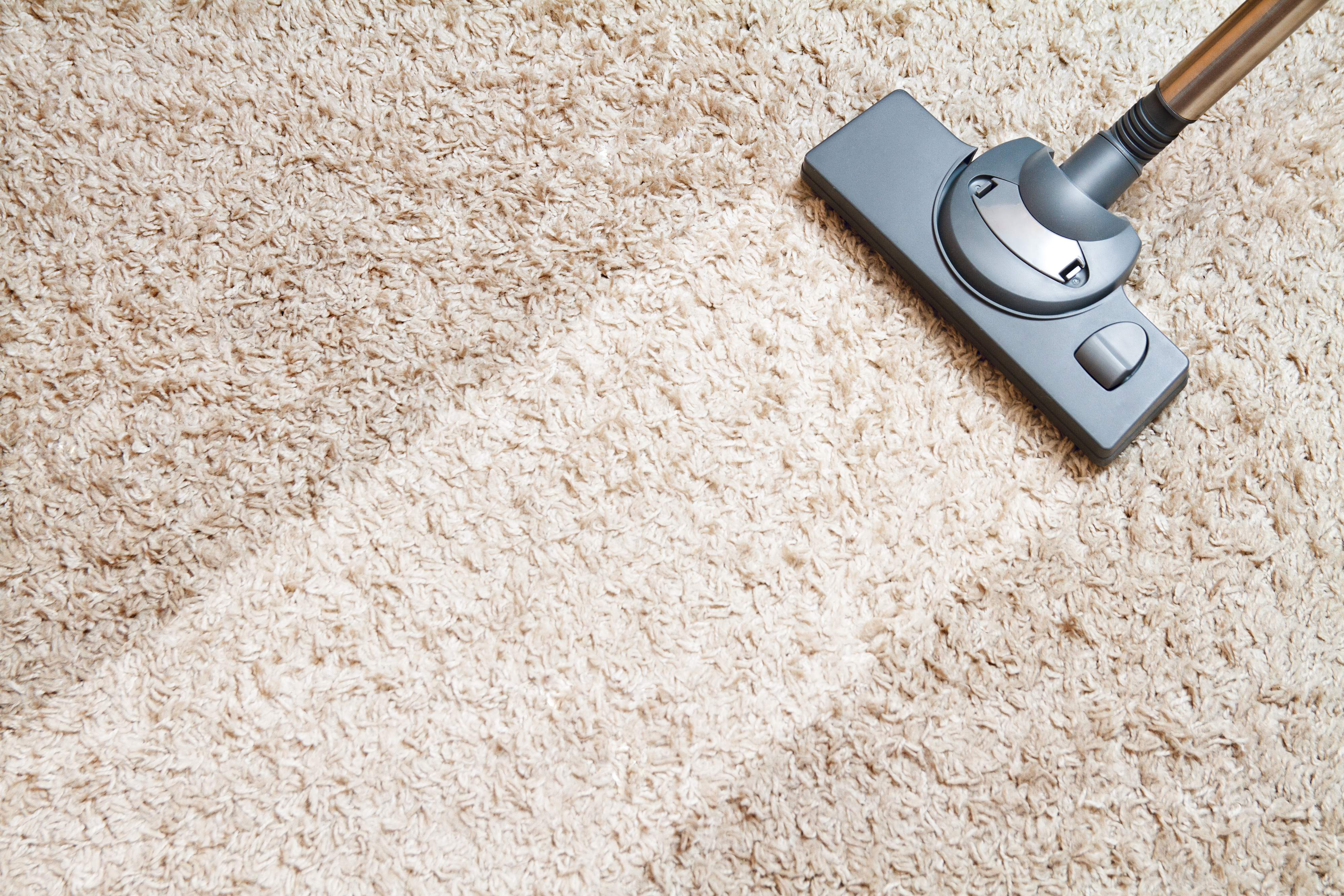 Vacuum cleaner head on beige carpet during cleaning